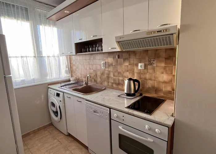 Two-bedroom Vintage Location * 布尔加斯